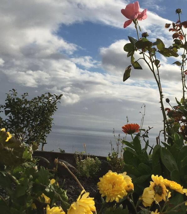 Sunflower Guest House - Madalena - Pico Sao Caetano  Eksteriør bilde