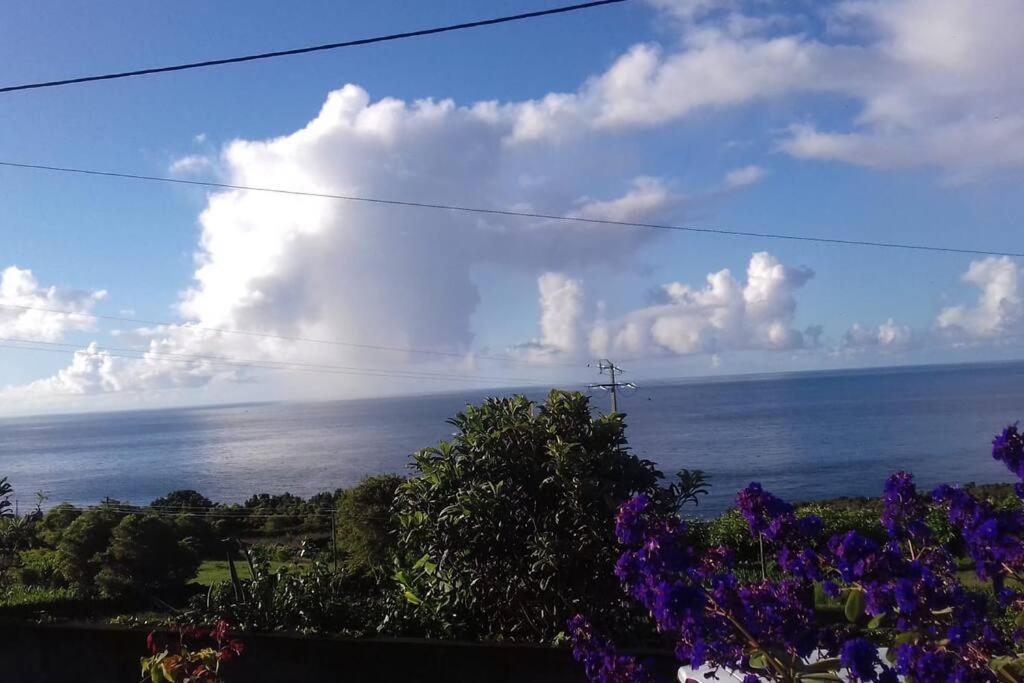 Sunflower Guest House - Madalena - Pico Sao Caetano  Eksteriør bilde