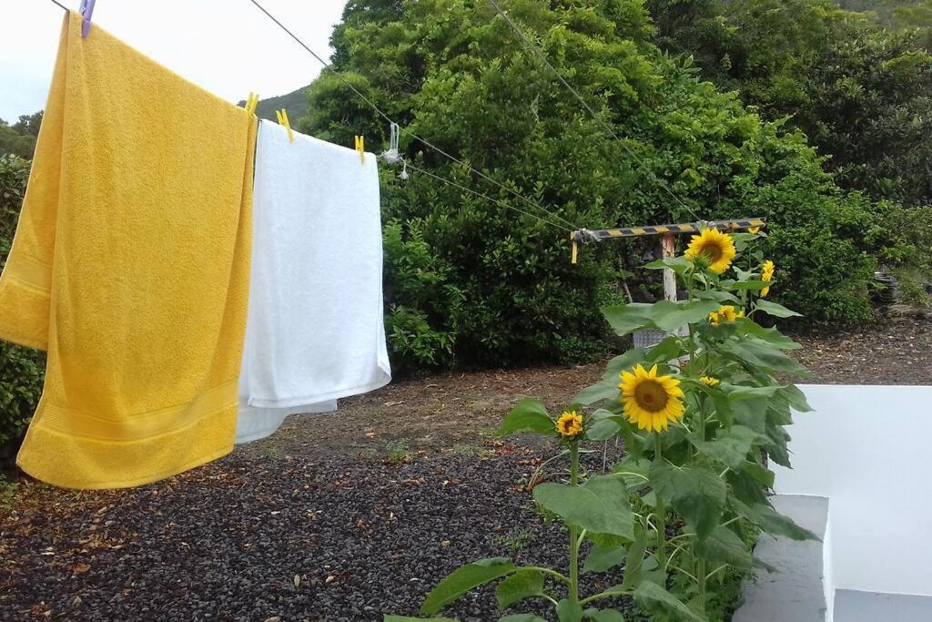 Sunflower Guest House - Madalena - Pico Sao Caetano  Eksteriør bilde